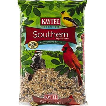 At-Home Summer Camp Supplies