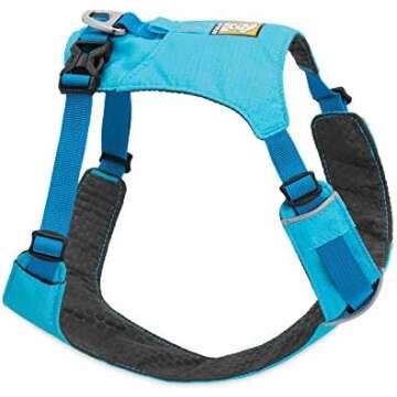 Safety Items - Collars, Harnesses, Leashes