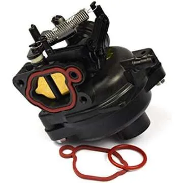 Briggs and Stratton Popular small engine parts