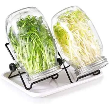 Sprouting Equipment: Grow Sprouts at Home With These Great Products