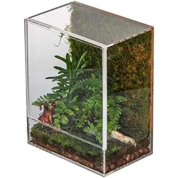 Terrarium