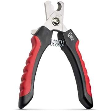 Dog Goods- toys + essentials