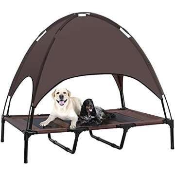 Home and Organization