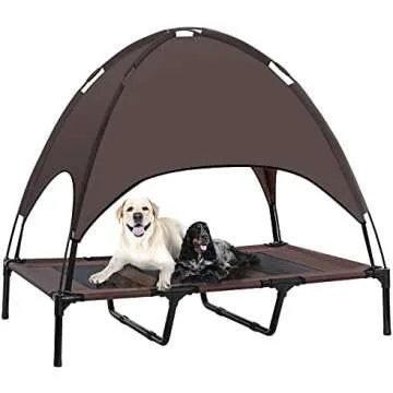 Home and Organization