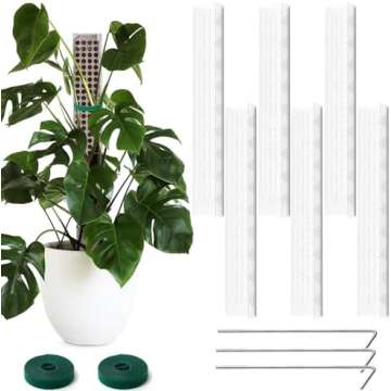 Moss Poles for your plants 🪴 🪴