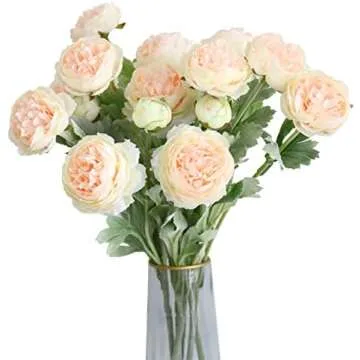 Springtime farmhouse