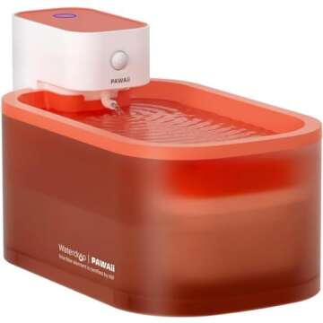 🍣Food, 🎏Snacks, & Supplements💊