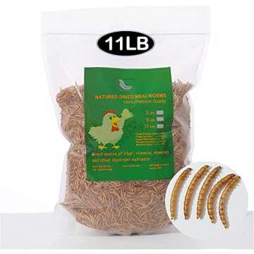 Chicken and egg incubating supplies