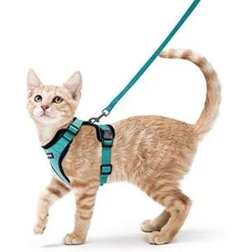Pet Preps!