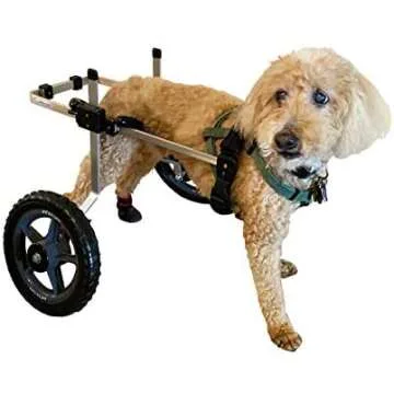 Dog Wheelchairs
