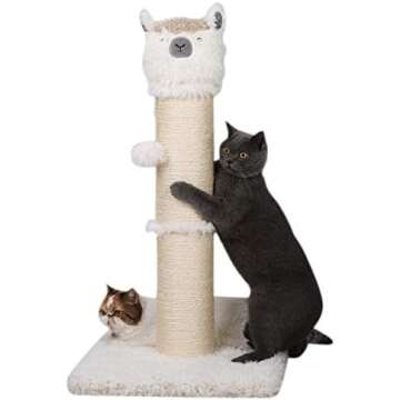 Cat Scratchers