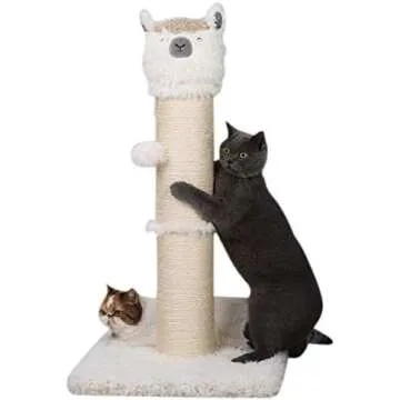 Cat Scratchers