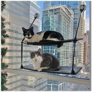 Best Cat Window Perches