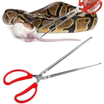 Ball Python Care Guide List
