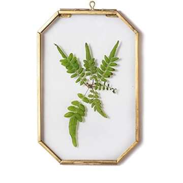 Pressed Flower Gold Floating Frame DIY