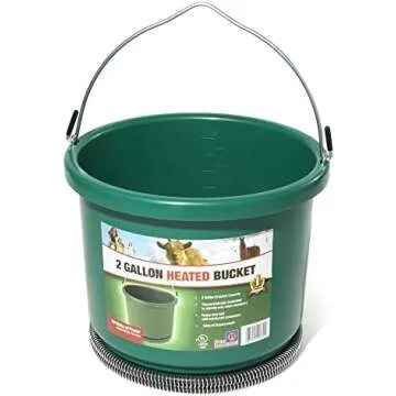 Winter Chicken Necessities