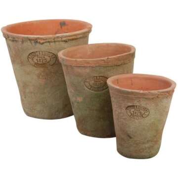 Faux Florals & Plants