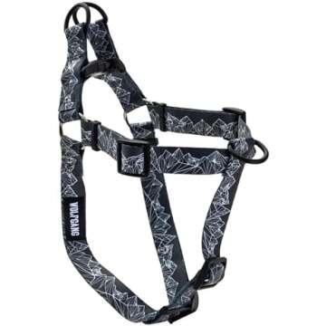 Kitsune's Faves 🐾