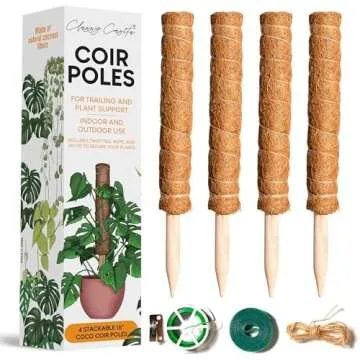 Plant Care