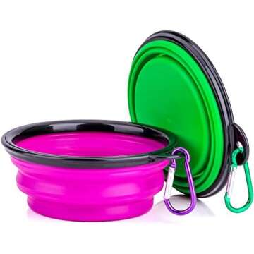 Travel and Adventure