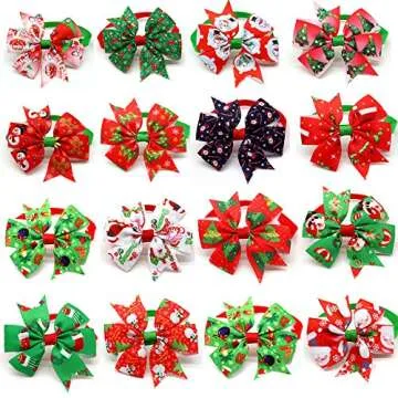 Leash & Harness My Pom Pals Inspired