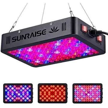 Grow Lights - Low Budget