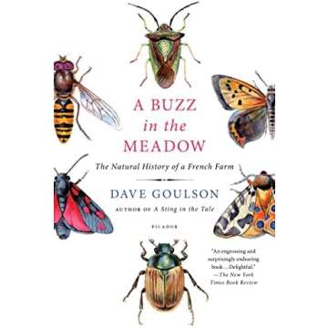 Influencer - honeybeesuite