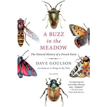 Influencer - honeybeesuite