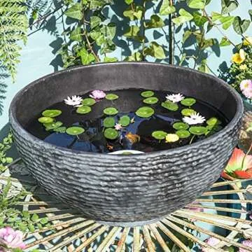 Creating a Small Garden Pond