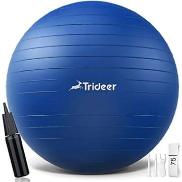 Therapy and Exercise Balls