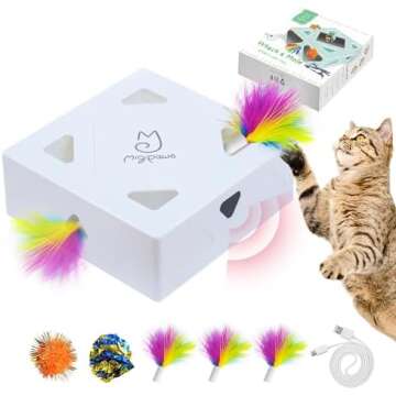 Cat Toys