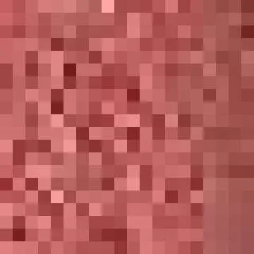 Shein Summer Style Haul