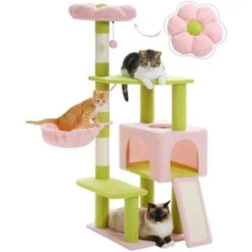 CAT TREE FAVES