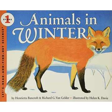 Winter Classroom Favorites