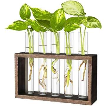 Plant Stands & Decor