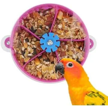 Foraging Toys for Birds