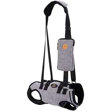 Injured Pet Transport