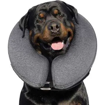 Pet Supplies