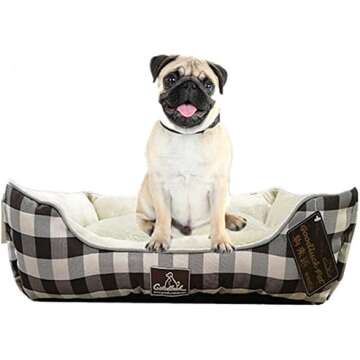 Spoil Your Dog Holiday List