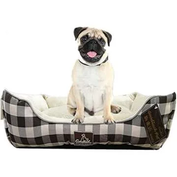 Spoil Your Dog Holiday List