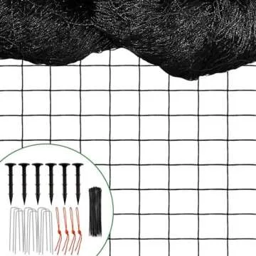 Winner winner chicken....wait, our chickens are pets.