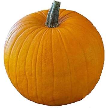 Halloween for the Home