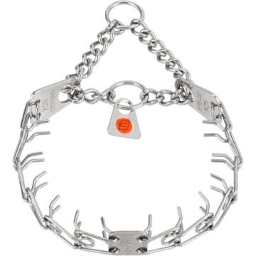 Leashed: Complete On-Leash Obedience