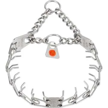 Leashed: Complete On-Leash Obedience