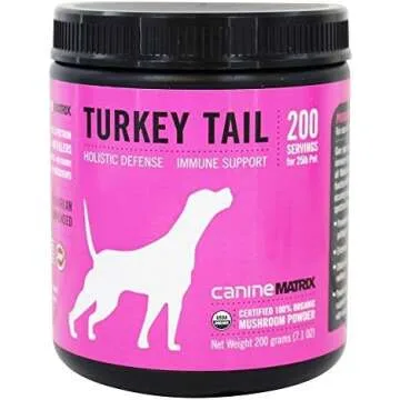 Turkey Tail Mushroom