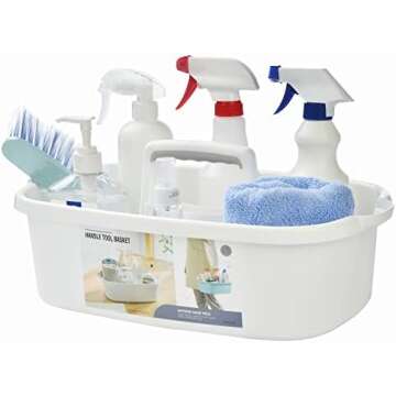 Cleaning Organization