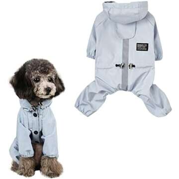 Clothing & Accessories