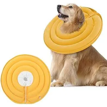 Pet First Aid MUST HAVES!