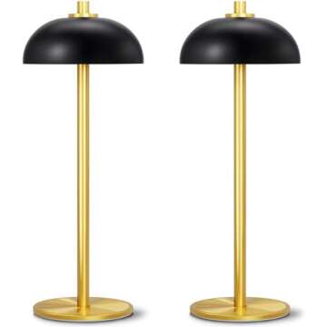 Lamps and Light Fixtures