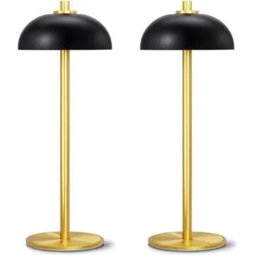 Lamps and Light Fixtures